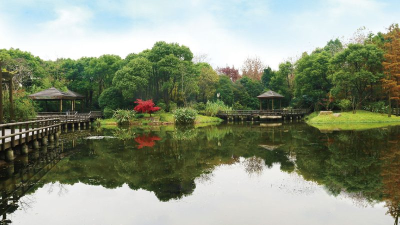 透水砖规格尺寸，揭秘园林景观铺装的“绿色”秘密