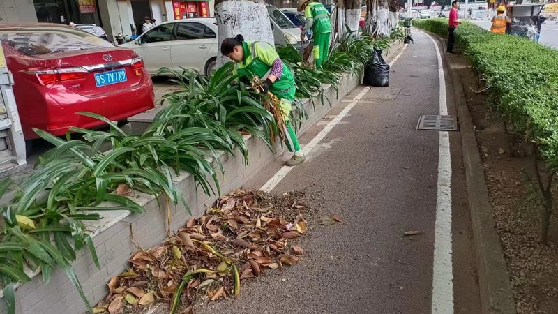 酒店大堂花卉租摆，如何打造绿色雅致空间？**