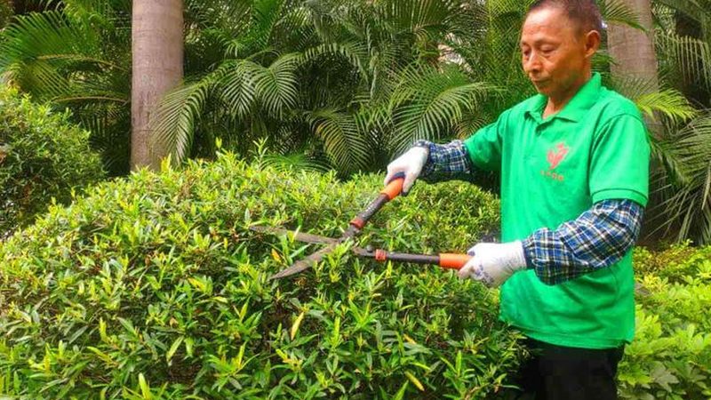 小型假山喷泉：尺寸、报价与选购要点揭秘