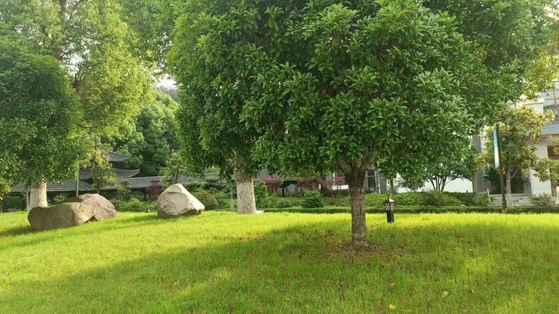 立体绿化技术规范：打造绿色建筑的秘密武器**