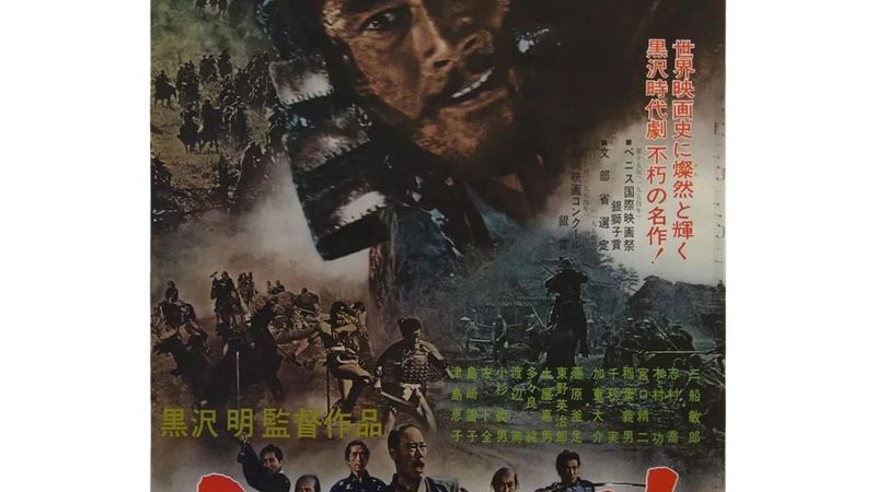 山地苗木种植怎么选品种