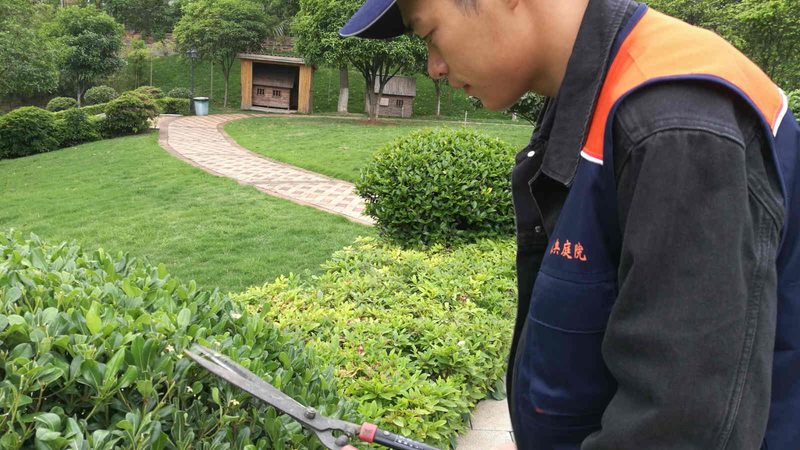 花卉租摆养护，如何让绿意盎然？**