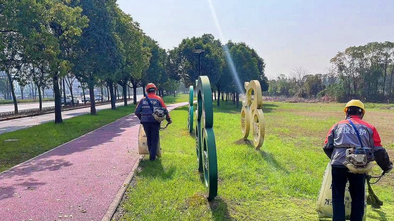 花卉租摆植物病虫害防治，这些方法你掌握了吗？**