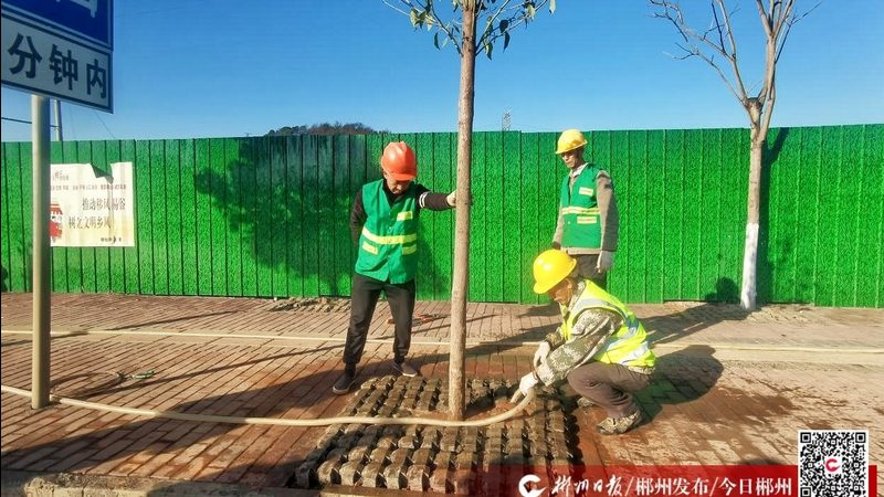 专业足球场草坪安装：关键步骤与注意事项**