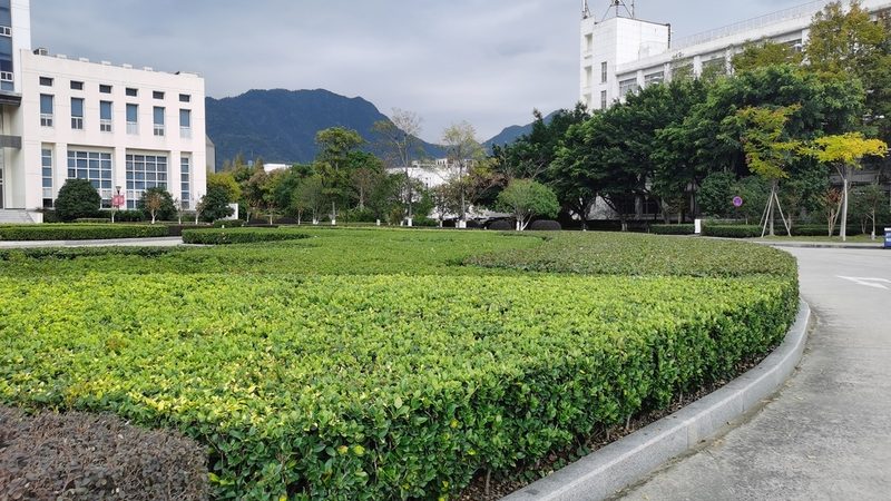 园林工程报价流程揭秘：定制方案的关键要素**